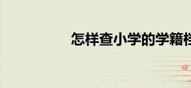 怎样查小学的学籍档案
