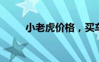 小老虎价格，买车前的全方位指南