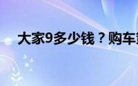 大家9多少钱？购车策略与性价比大揭秘
