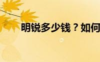 明锐多少钱？如何挑选性价比高的车