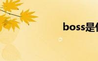 boss是什么意思