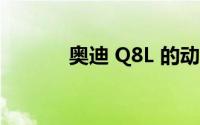 奥迪 Q8L 的动力系统怎么样？
