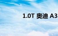 1.0T 奥迪 A3 操控性能如何