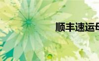 顺丰速运母单号查询
