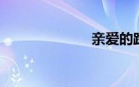 亲爱的路人歌词