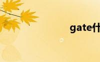 gate什么意思