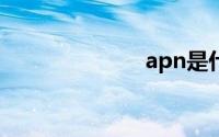apn是什么意思