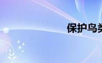 保护鸟类的标语