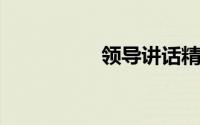 领导讲话精神心得体会
