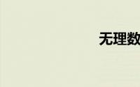 无理数是什么