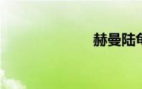 赫曼陆龟怎么养