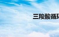 三羧酸循环名词解释