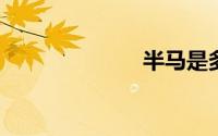 半马是多少公里