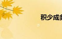 积少成多的成语