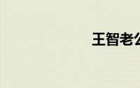 王智老公赵英俊