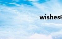 wishes中文翻译
