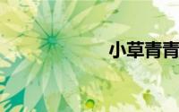 小草青青剧情介绍