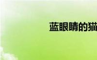 蓝眼睛的猫是什么品种