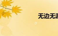 无边无涯的意思