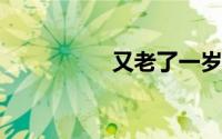 又老了一岁的心情说说