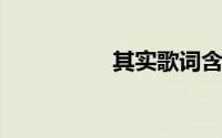其实歌词含义什么意思