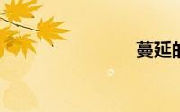 蔓延的拼音