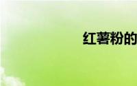 红薯粉的做法大全