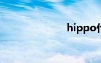 hippo什么意思