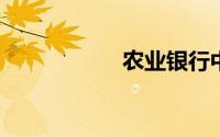 农业银行中午休息吗