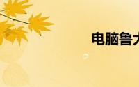 电脑鲁大师跑分