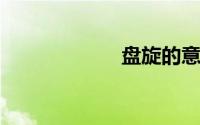 盘旋的意思是什么