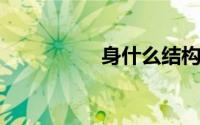 身什么结构部首是什么
