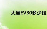 大通EV30多少钱？购车优惠大揭秘