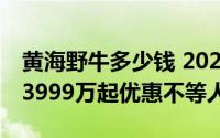 黄海野牛多少钱 2021款落地价，最低售价9.3999万起优惠不等人