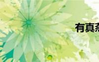 有真燕窝吗
