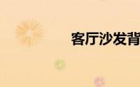 客厅沙发背后挂画大全