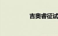 吉奥睿征试驾怎么预约
