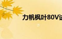 力帆枫叶80V试驾有哪些途径