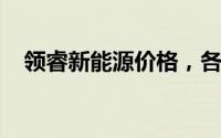 领睿新能源价格，各配置车型售价全知晓