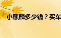 小麒麟多少钱？买车技巧与性价比全奉上
