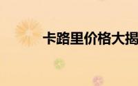 卡路里价格大揭秘，买车前必看