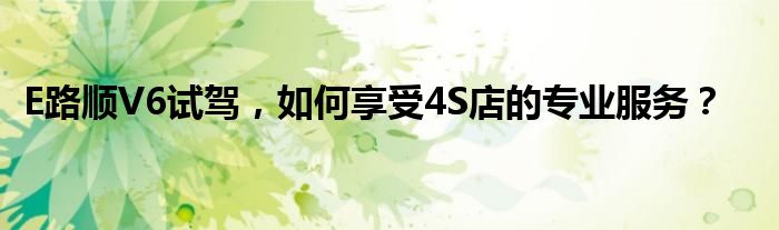 E路顺V6试驾，如何享受4S店的专业服务？